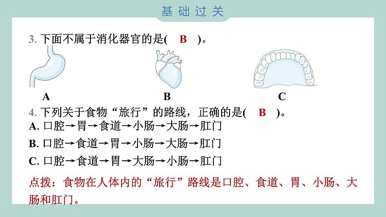 2.8 食物在身体里的旅行习题课件 四年级上册科学教科版03