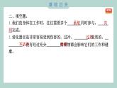 2.8 食物在身体里的旅行习题课件 四年级上册科学教科版