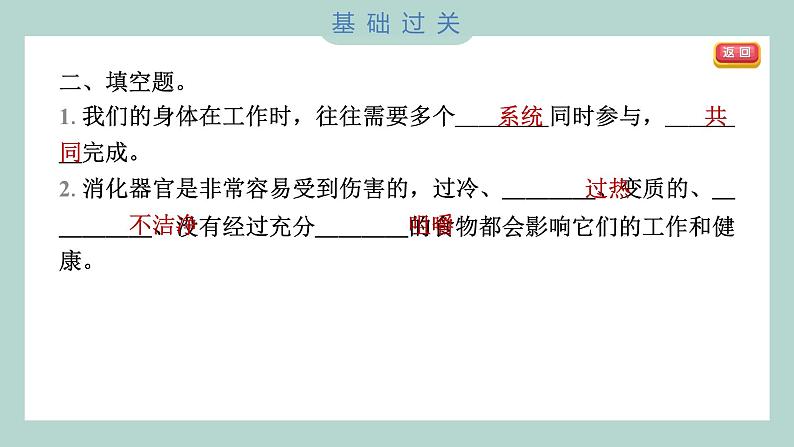 2.8 食物在身体里的旅行习题课件 四年级上册科学教科版05