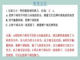 3.3 用橡皮筋驱动小车习题课件 四年级上册科学教科版