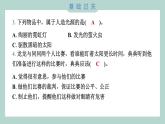 1.1 有关光的思考 习题课件 五年级上册科学教科版