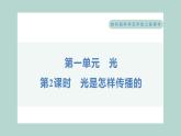 1.2 光是怎样传播的 习题课件 五年级上册科学教科版