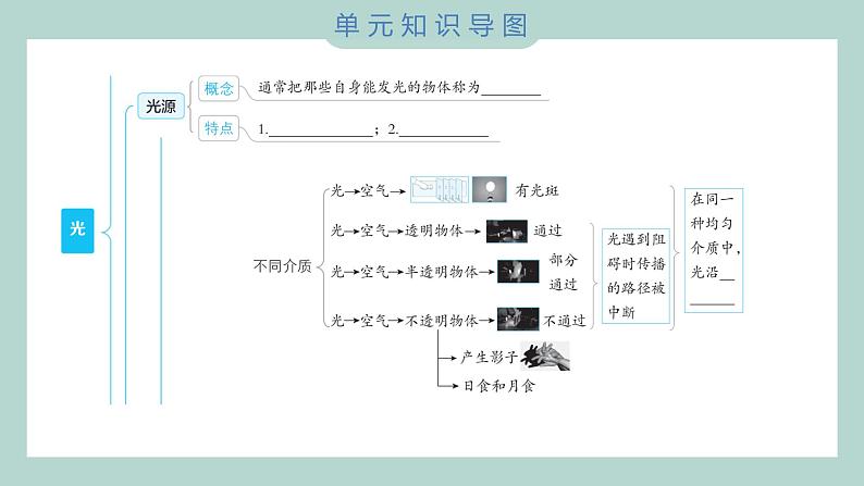 第一单元 光 综合素养提优 习题课件 五年级上册科学教科版02