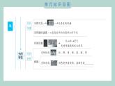第一單元 光 綜合素養(yǎng)提優(yōu) 習(xí)題課件 五年級上冊科學(xué)教科版