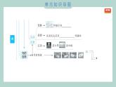 第一單元 光 綜合素養(yǎng)提優(yōu) 習(xí)題課件 五年級上冊科學(xué)教科版