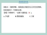 第一單元 光 綜合素養(yǎng)提優(yōu) 習(xí)題課件 五年級上冊科學(xué)教科版