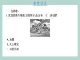 2.5 风的作用 习题课件 五年级上册科学教科版
