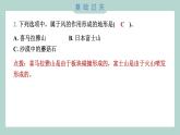 2.5 风的作用 习题课件 五年级上册科学教科版