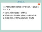 2.5 风的作用 习题课件 五年级上册科学教科版