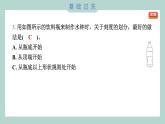 3.3 我们的水钟 习题课件 五年级上册科学教科版