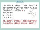 4.2 身体的运动 习题课件 五年级上册科学教科版