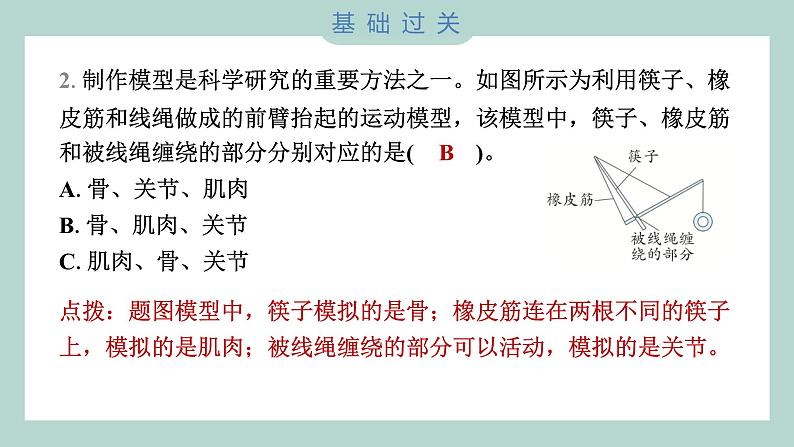 4.2 身体的运动 习题课件 五年级上册科学教科版第3页