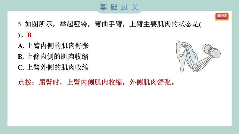 4.2 身体的运动 习题课件 五年级上册科学教科版第5页