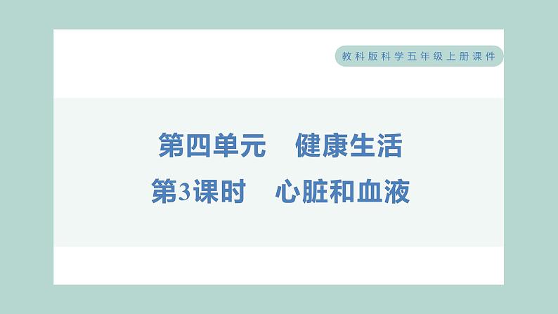 4.3 心脏和血液 习题课件 五年级上册科学教科版01