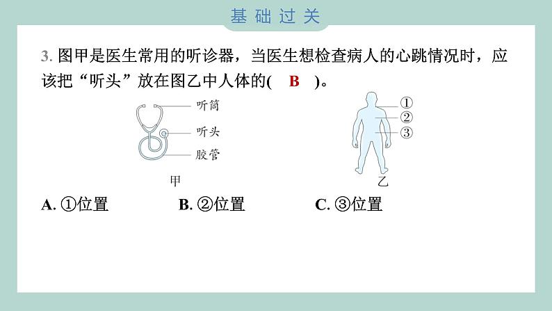 4.3 心脏和血液 习题课件 五年级上册科学教科版04