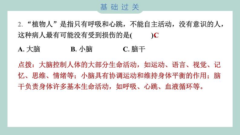 4.4 身体的“总指挥” 习题课件 五年级上册科学教科版03