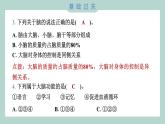 4.4 身体的“总指挥” 习题课件 五年级上册科学教科版