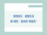 4.5 身体的“联络员” 习题课件 五年级上册科学教科版
