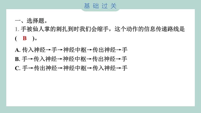 4.5 身体的“联络员” 习题课件 五年级上册科学教科版02