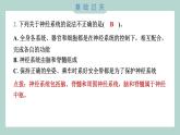 4.5 身体的“联络员” 习题课件 五年级上册科学教科版