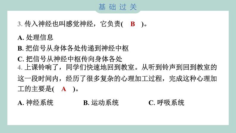 4.5 身体的“联络员” 习题课件 五年级上册科学教科版04