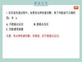 4.5 身体的“联络员” 习题课件 五年级上册科学教科版