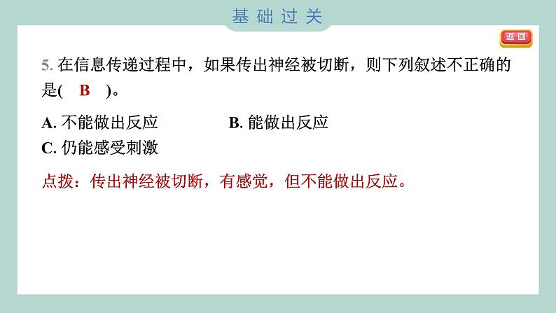 4.5 身体的“联络员” 习题课件 五年级上册科学教科版05