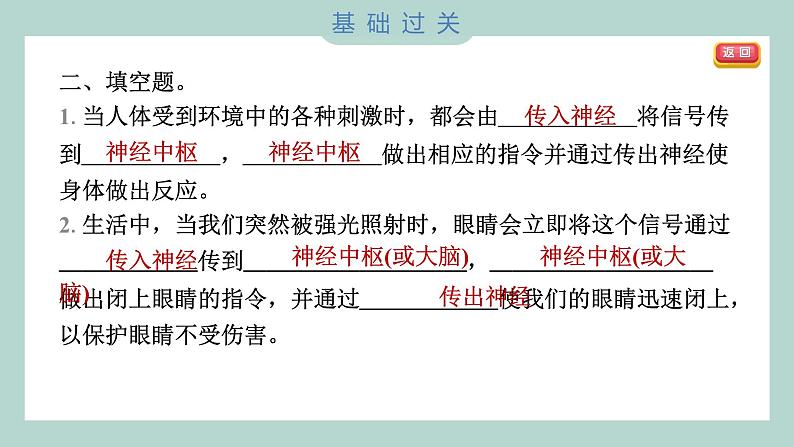 4.5 身体的“联络员” 习题课件 五年级上册科学教科版06