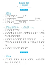 小学科学冀人版 (2017)一年级上册6 观察蒲公英课后作业题