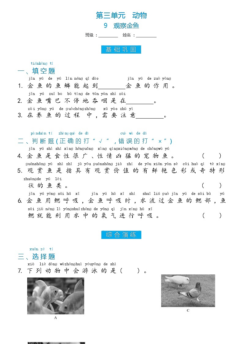 冀人版一年级上册第9课 观察金鱼双减分层同步练习（含答案）01