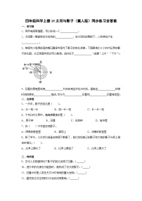 小学冀人版 (2017)19 太阳与影子同步训练题