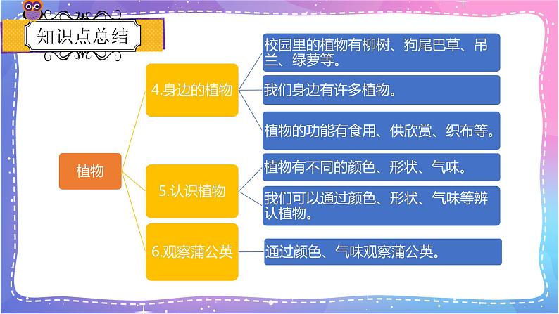 冀人版一年级上册科学 植物 复习PPT02