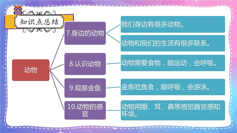 冀人版一年级上册科学 动物 复习PPT02