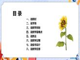 苏教版科学五年级下册  《STEM学习：立体小菜园》课件