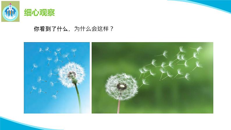 7做个小侦探PPT课件苏教版科学一年级上册第2页