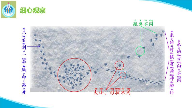 7做个小侦探PPT课件苏教版科学一年级上册第7页