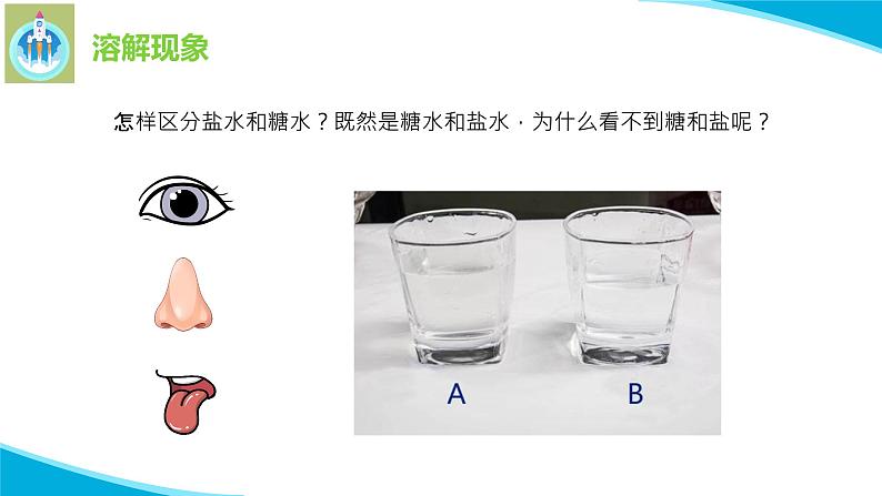 苏教版科学一年级下册6盐和糖哪儿去了PPT课件03