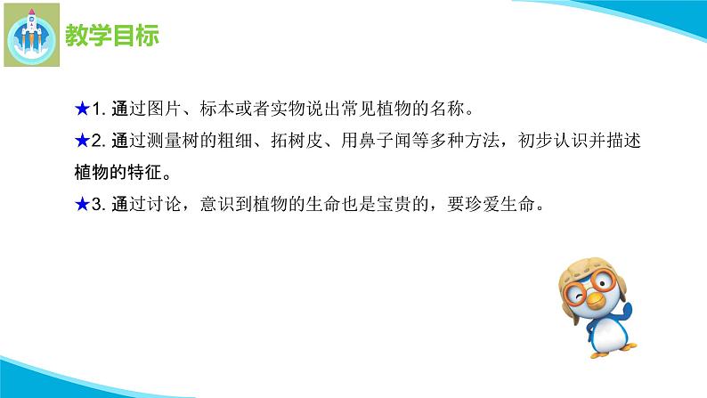 苏教版科学一年级下册11多姿多彩的植物PPT课件02