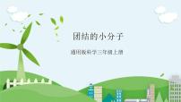 STEM社团课 03 团结的小分子 课件（ 三年级上册 科学）