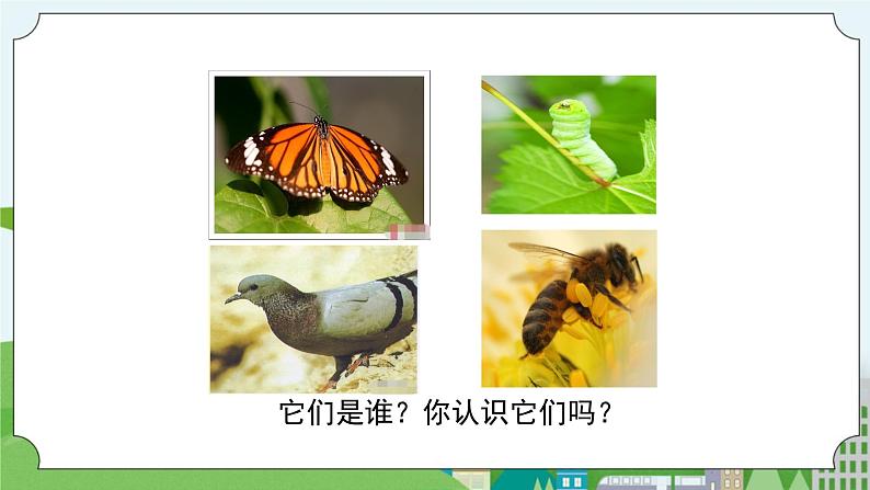 STEM社团课 08六足舞蹈家 课件（ 三年级上册 科学）第2页