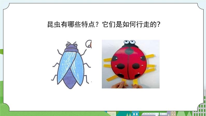 STEM社团课 08六足舞蹈家 课件（ 三年级上册 科学）第3页