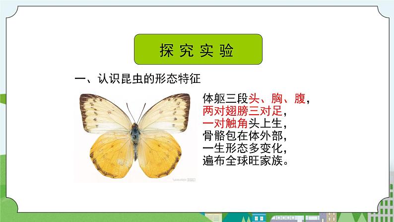 STEM社团课 08六足舞蹈家 课件（ 三年级上册 科学）第4页