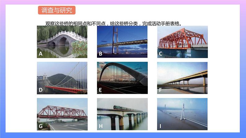 通用版 小学科学 桥-调查与研究（课件）第2页