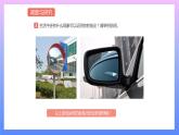 通用版 小学科学 万花筒-调查与研究（课件）