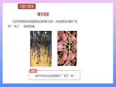 通用版 小学科学 万花筒-问题与聚焦（课件）