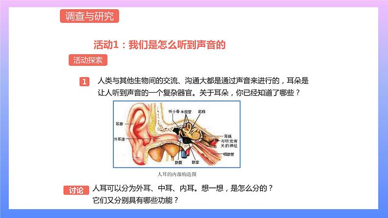 通用版 小学科学 制作护耳器-调查与研究（课件）01