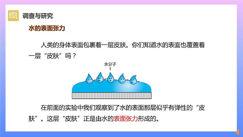 通用版 小学科学 制作泡泡液-调查与研究（课件）06