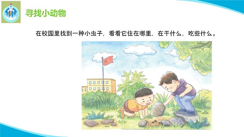 苏教版科学二年级下册9寻访土壤中的小动物PPT课件第8页