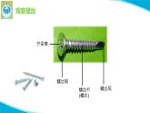 苏教版科学二年级下册11拧螺丝PPT课件