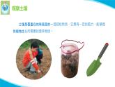 蘇教版科學(xué)三年級(jí)上冊(cè)4土壤的成分PPT課件